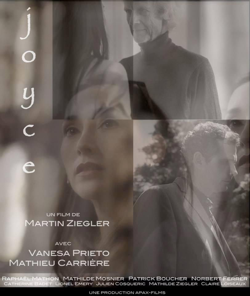 affiche film joyce martin ziegler